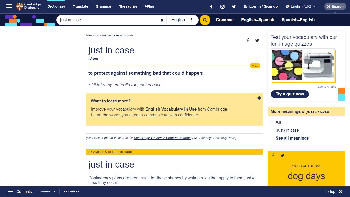 Meaning of just in case in English - Cambridge University Press ...
